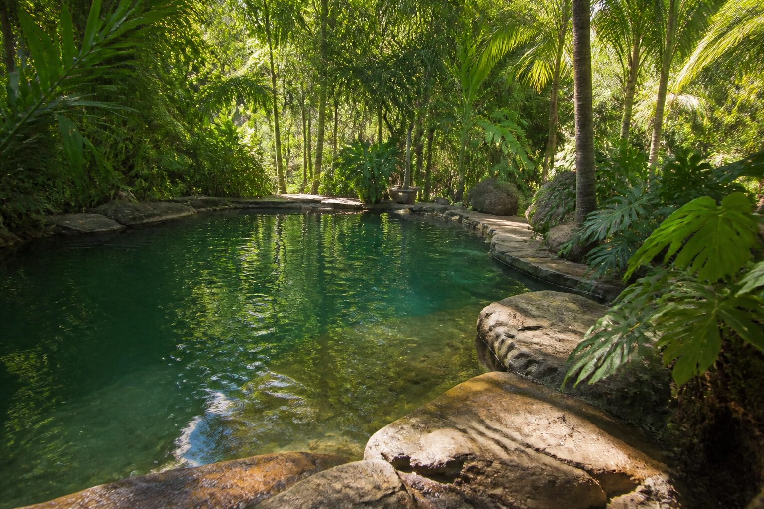 Piscina natural cercada pela vegetação